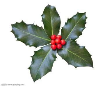 ս˼άжϵ òȷж