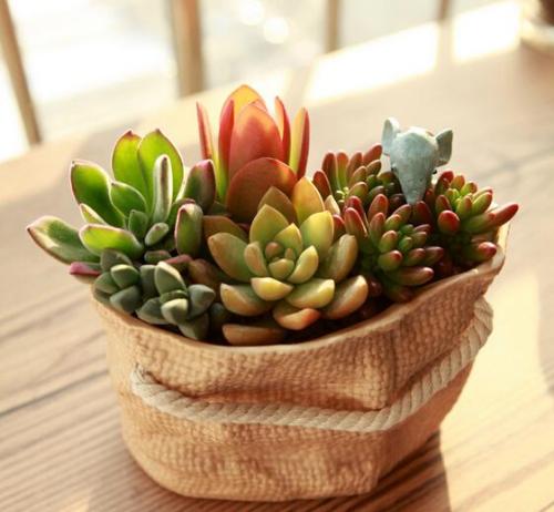 Á½²¿ÃÅ£ºÆÆ½âÉçÇø×ãÇò³¡µØÉèÊ©½¨ÉèÁù´óÄѵãÎÊÌâ