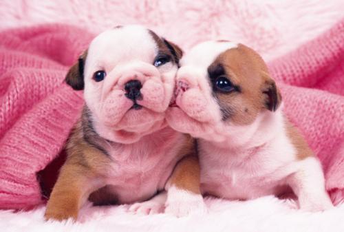 һ980!֣ݾһСթƭŻ