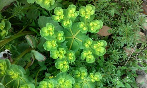 ձһ뾳߸ȾϷǳֵı¹ڲ