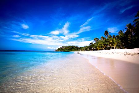 ¿ÕÆøÎÀÊ¿or½¡¿µÉ±ÊÖ£¿¡°²»£¬ÎÒÖ»ÊÇÒ»ÅèÂÌÖ²¡±