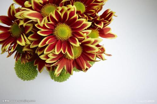 ƶ|ɽ׵طƶǨƶ˿ȫȶƶ