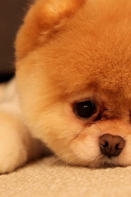 À¥Ã÷ÖÐÔº½«¿ªÕ¹