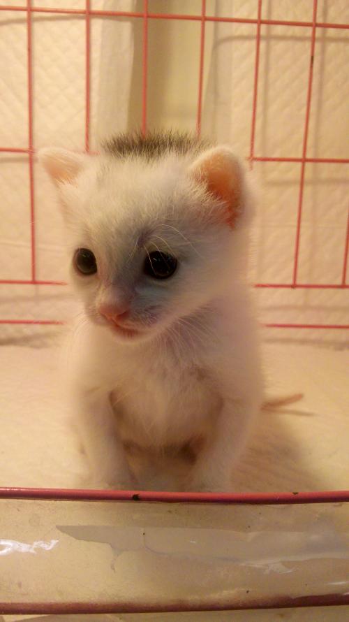 ֯ȫۼ¹ȷﲡ79673754