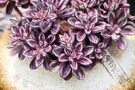 ÎÑÂå¹ÁÒɰ¸£ºÉêÔ©3ÄêÖÕµÃÎÞ×ïÅоö ÕæÐ×ÈÔÊÇÃÕ