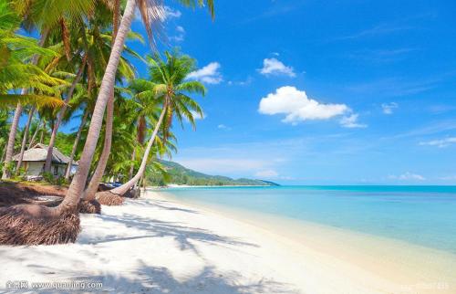 ԭ洫ýͶʿعɼ޹˾ԭί³ܼͼ