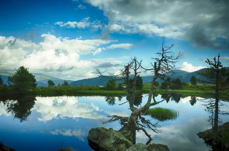 ŷ»׼202111ʱִӢŷЭ